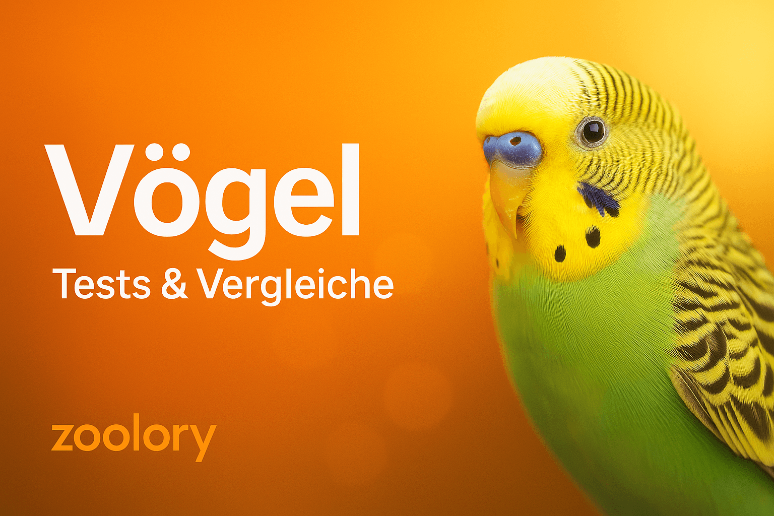 voegel-tests-vergleiche