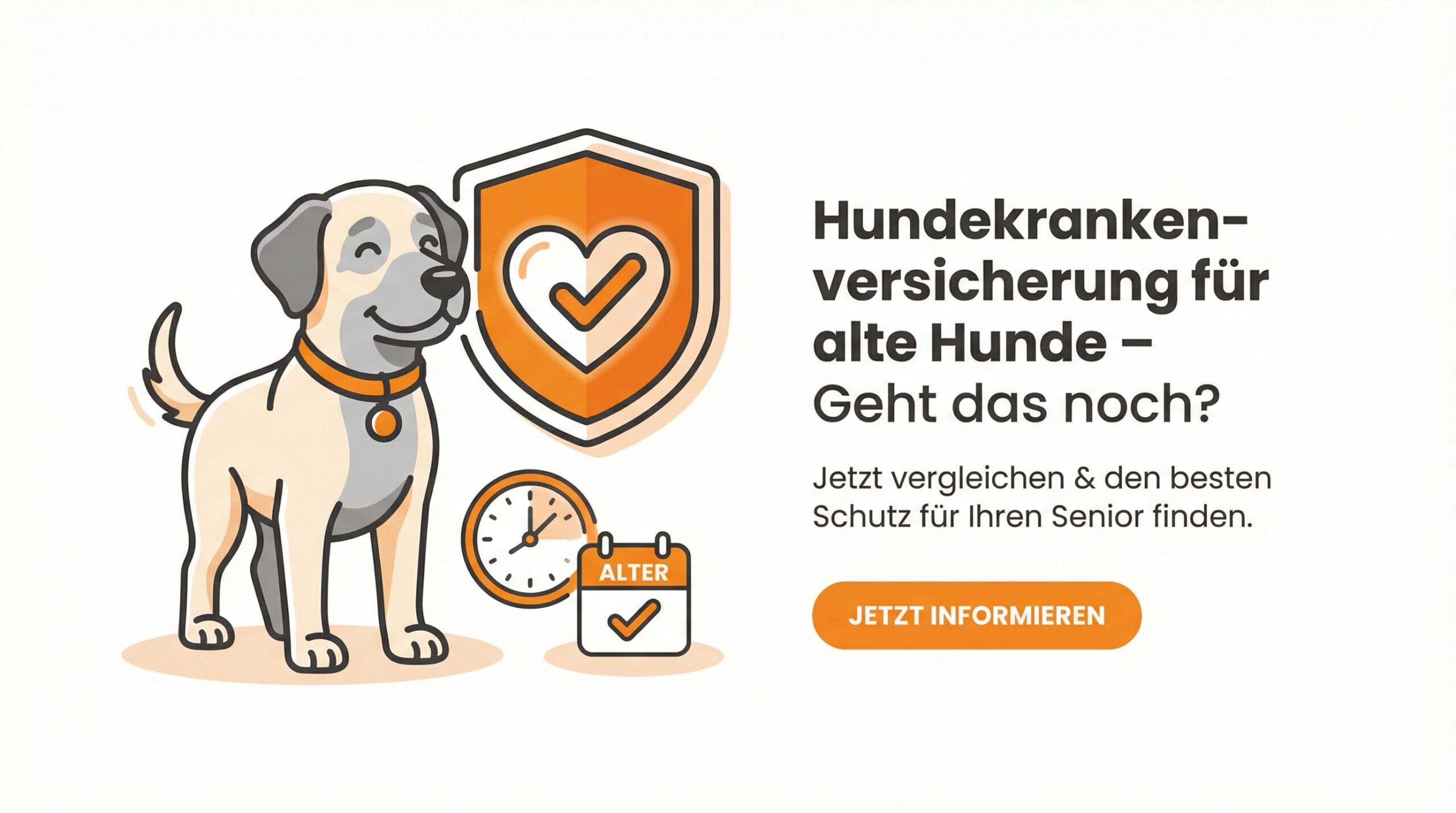 Hundekrankenversicherung für alte Hunde – Möglichkeiten und Alternativen