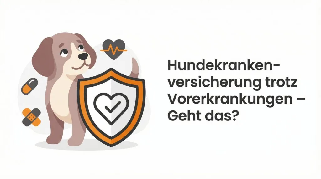 Hundekrankenversicherung trotz Vorerkrankungen – Chancen und Alternativen