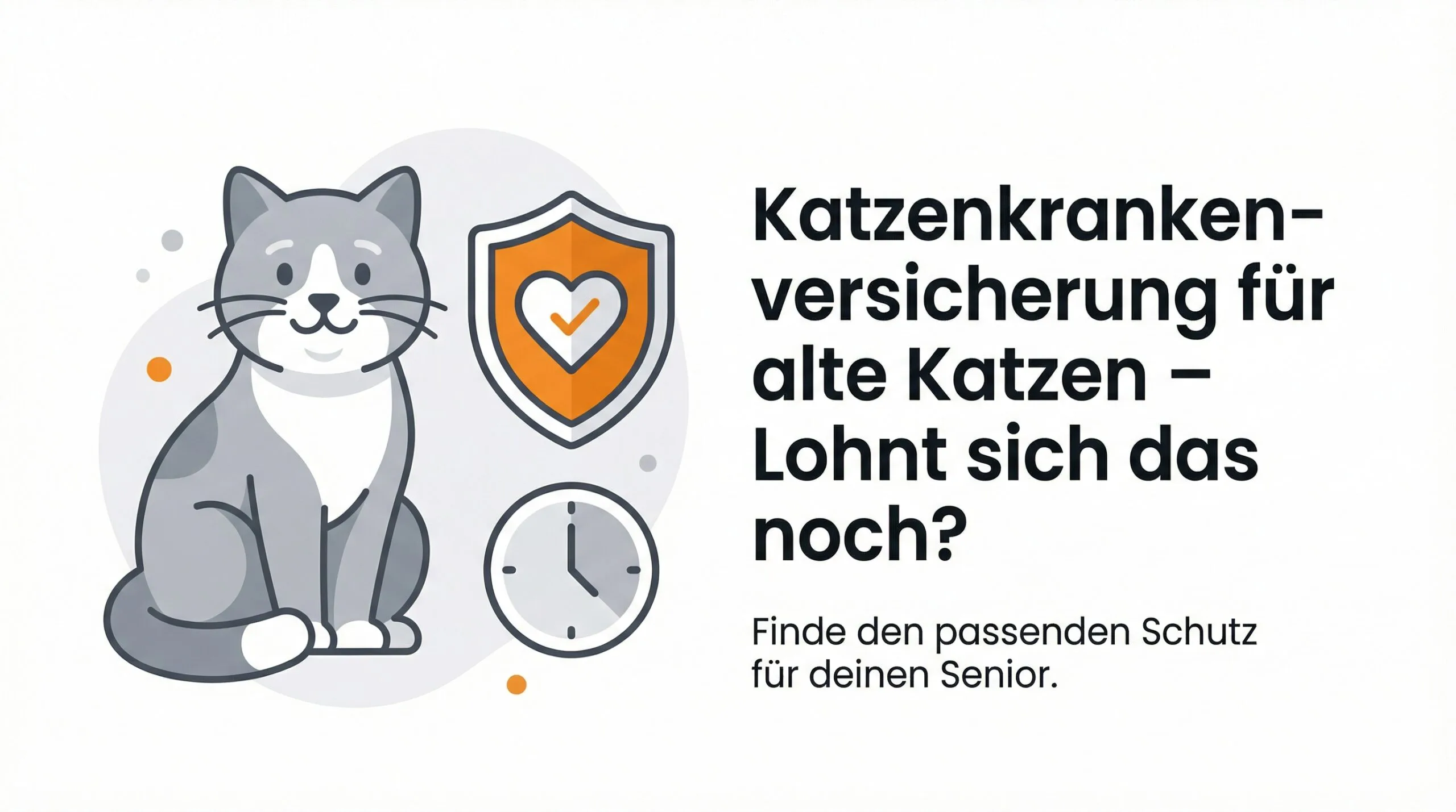 Katzenkrankenversicherung für alte Katzen – Möglichkeiten und Alternativen