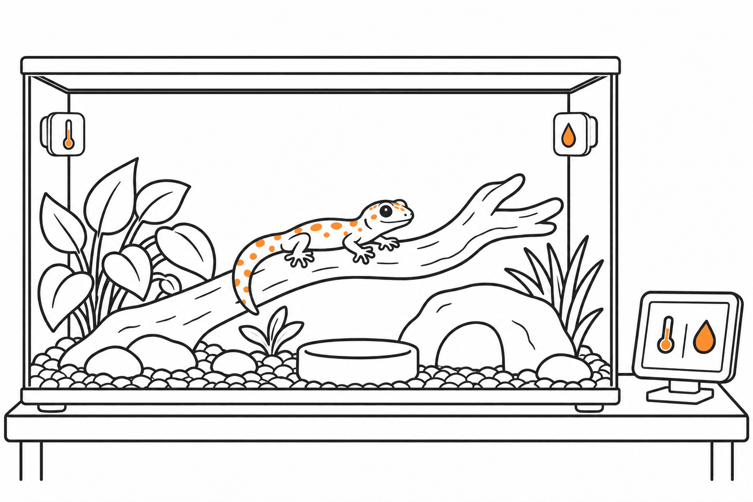 Terrarium mit separat platzierten Klimasensoren und unabhängiger Anzeige