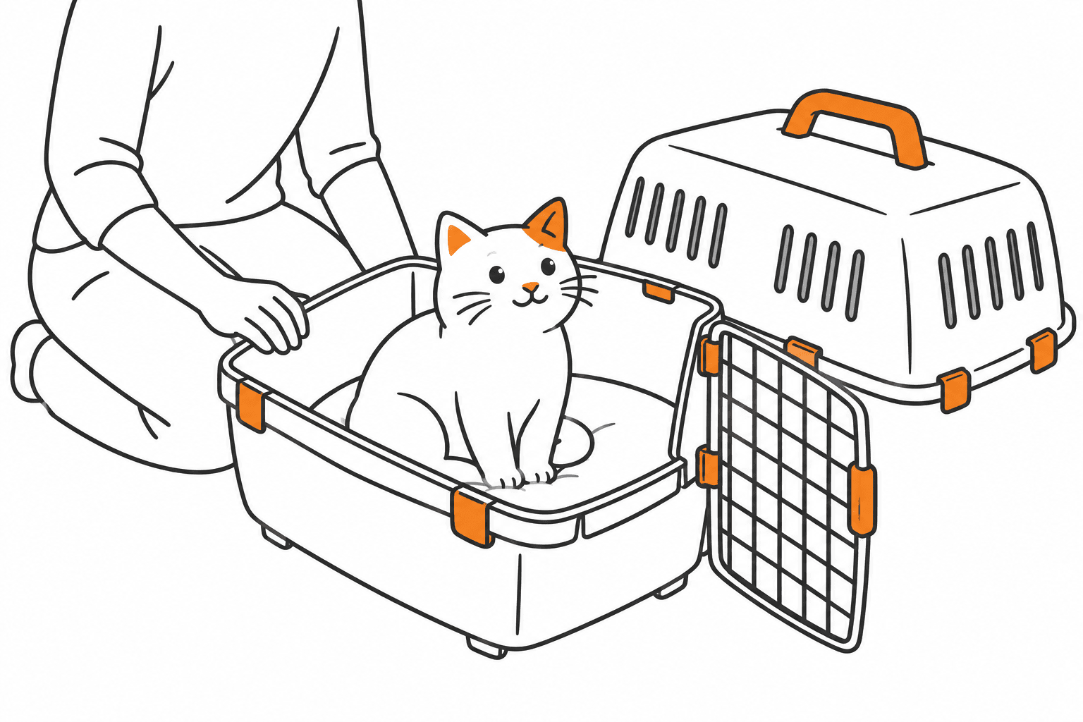 Ruhige Katze in der offenen Unterschale einer Transportbox mit abgenommenem Oberteil