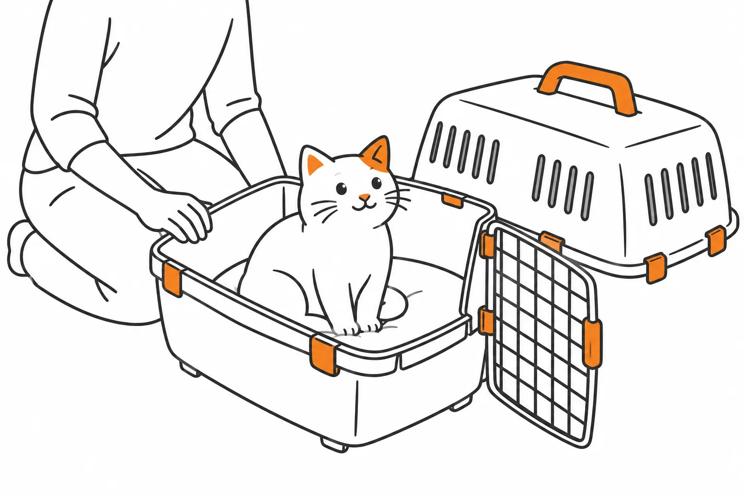 Ruhige Katze in der offenen Unterschale einer Transportbox mit abgenommenem Oberteil