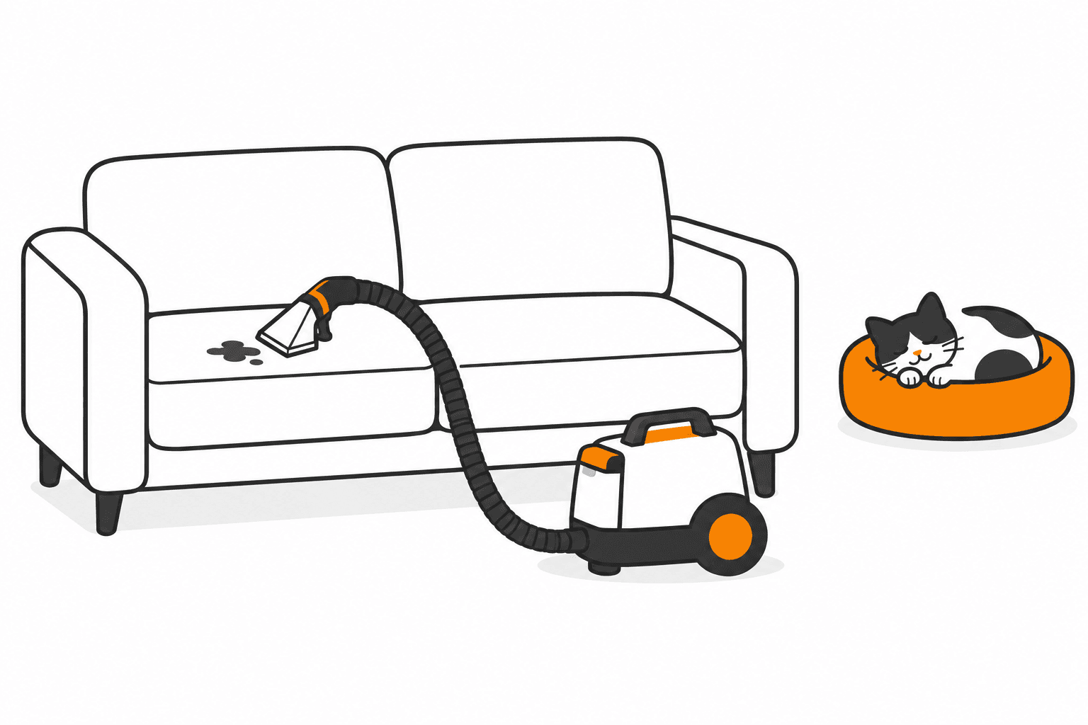 Kompakter Waschsauger an einem Sofa; eine Katze ruht mit Abstand zur gereinigten Stelle